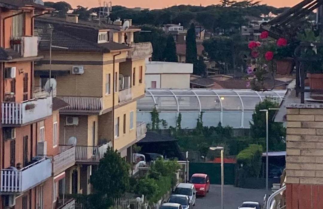 Il mondo di Letizia-1